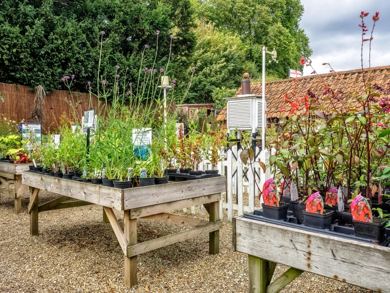 The World Garden at Lullingstone Castle